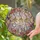 Cherry Blossom Gold Leaf Iridescent Crystal Prisms Home Decor Gift Stained Glass Suncatcher - 2