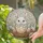 Fluffy White Baby Bunny Peeking Easter Egg Spring Garden Blossoms - Home Decor Gift Stained Glass Suncatcher - 2