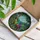 Rainbow Brontosaurus Prehistoric Forest Lush Plants - Home Decor Gift for Dinosaur Lover Stained Glass Suncatcher - 3