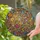Stretching Cat Blooming Flowers Butterfly Botanical Foliage - Home Decor Gift Cat Lover Stained Glass Suncatcher - 2