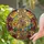 Cascading Golden Spiral Crystal Beads Geometric Mosaic Celestial - Home Decor Gift Stained Glass Suncatcher - 2