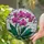 Pink Phalaenopsis Orchid Tiffany Glass Home Decor Gift for Orchid Lover Stained Glass Suncatcher - 2