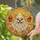 Smiling Fluffy Pomeranian Dog Sunset Landscape - Home Decor Gift for Dog Lovers Stained Glass Suncatcher - 2