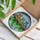 Three Red-Eyed Tree Frogs Branch Leaves Mottled Sky Home Decor Gift for Wildlife Lover Stained Glass Suncatcher - 3
