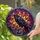 Black Raven Iridescent Purple Blue Feathers Mosaic - Home Decor Gift for Bird Lovers Stained Glass Suncatcher - 2