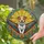 Brown White Dog Striped Hammock Geometric Floral Sunrays - Home Decor Gift for Dog Lover Stained Glass Suncatcher - 2