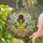 Honeybee Honeycomb Crystal Floral Glass Drops - Wildlife Lover Home Decor Gift Stained Glass Suncatcher - 2