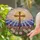 Stained Glass Radiant Cross Wildflower Meadow Mountain Sunset - Home Decor Gift Stained Glass Suncatcher - 2