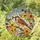 Songbird Yellow Orange Floral Branch Blue Green Sky - Home Decor Gift for Bird Lover Stained Glass Suncatcher - 1