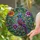 Orange Beak Bird Green Eye Blossom Leaf Floral Mosaic Home Decor Gift for Bird Lover Stained Glass Suncatcher - 2