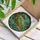 Robust Crawling Alligator Lush Swamp Foliage Lily Pads - Wildlife Lover Home Decor Gift Stained Glass Suncatcher - 3