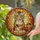 Baby Tiger Cub Golden Treasure Polygonal Mosaic - Home Decor Gift for Wildlife Lover Stained Glass Suncatcher - 2