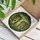 Stained Glass Terracotta Pots Green Beaded Vines - Plant Lover Home Decor Gift Stained Glass Suncatcher - 3