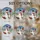 Snowman Winter Wonderland Bird Poinsettia - Christmas Holiday Home Decor Gift Stained Glass Suncatcher - 4