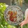 Squirrel Holding Acorns Home Decor Gift for Wildlife Lover Stained Glass Suncatcher - 2