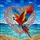 Scarlet Macaw Stained Glass Tropical Ocean - Home Decor Gift for Macaw Lover Stained Glass Suncatcher - 5