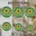 Full Bloom Sunflower Radiating Petals Green Leaves Mosaic - Home Decor Gift for Gardeners Stained Glass Suncatcher - 4