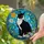 Tuxedo Cat Orange Flower Daisy Apple Blossom Stained Glass Mosaic - Home Decor Gift for Cat Lover Stained Glass Suncatcher - 2