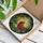 Red Cardinal Bird Green Leaves Landscape - Wildlife Lover Home Decor Gift Stained Glass Suncatcher - 3