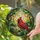 Red Cardinal Bird Green Leaves Landscape - Wildlife Lover Home Decor Gift Stained Glass Suncatcher - 2