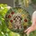 Fluffy Shih Tzu Dog Floral Garden - Home Decor Gift for Dog Lovers Stained Glass Suncatcher - 2