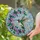 Hummingbird Flower Sky Sun Rays - Home Decor Wildlife Lover Gift Stained Glass Suncatcher - 2
