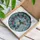 Hummingbird Flower Sky Sun Rays - Home Decor Wildlife Lover Gift Stained Glass Suncatcher - 3