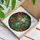 Hummingbird Hibiscus Tropical Waterfall Jungle - Home Decor Gift for Wildlife Lover Stained Glass Suncatcher - 3
