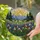 Blooming Wildflower Meadow Mountain Range Glowing Sun Landscape - Home Decor Gift Stained Glass Suncatcher - 2