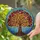 Stained Glass Tree of Life Leaves Mosaic - Home Decor Gift Stained Glass Suncatcher - 2
