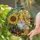 Gnome Honeycomb Bumblebee Sunflower Gourds Honey Jar - Nature Lover Year-Round Home Decor Gift Stained Glass Suncatcher - 2