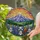 Majestic Mountain Range Wildflowers Cloud-Filled Sky Landscape - Home Decor Gift Stained Glass Suncatcher - 2