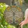 Tiffany Stained Glass Dragonfly Light Ray Mosaic Home Decor Gift Stained Glass Suncatcher - 2
