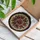 Stained Glass Poinsettia Flowers Mosaic - Intricate Christmas Holiday Home Decor Gift Stained Glass Suncatcher - 3