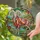 Rainbow Ram Natural Landscape - Wildlife Lover Home Decor Gift Stained Glass Suncatcher - 2