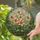 Tiffany Glass Blooming Lily Bouquet Swirling Organic Foliage Dappled Sunlight Garden - Home Decor Gift Stained Glass Suncatcher - 2
