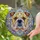 Bulldog Face Floppy Ears Wrinkles Dewlap Stained Glass - Home Decor Gift for Bulldog Lovers Stained Glass Suncatcher - 2