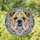 Bulldog Face Floppy Ears Wrinkles Dewlap Stained Glass - Home Decor Gift for Bulldog Lovers Stained Glass Suncatcher - 1