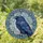 Iridescent Raven Gothic Scrollwork - Home Decor Gift for Bird Lover Stained Glass Suncatcher - 1