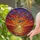 Five Geese Flying Sunset Landscape Wildlife Lover Home Decor Gift Stained Glass Suncatcher - 2