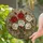 Rose Bouquet Leaves Organic Tendrils - Home Decor Gift for Floral Lover Stained Glass Suncatcher - 2