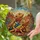 Bearded Dragons Desert Landscape Rock Formations Succulents Sky - Reptile Lover Home Decor Gift Stained Glass Suncatcher - 2