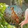 Seated Greyhound Whippet Dog Scenic Mosaic - Dog Lover Home Decor Gift for Pet Parents Stained Glass Suncatcher - 2