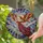 Graceful Winged Angel Woman Mosaic Gown Trumpet Ethereal Clouds Celestial Home Decor Gift Stained Glass Suncatcher - 2