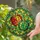 Stained Glass Apples Green Leaves Geometric Organic Mosaic Lead Lines - Home Decor Gift Stained Glass Suncatcher - 2