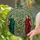 Medusa Figures Coiled Green Snake Ornate Border Floral Jewel Home Decor Gift Stained Glass Suncatcher - 2