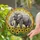 African Elephant Sunflowers - Wildlife Lover Home Decor Gift for Elephant Lover Stained Glass Suncatcher - 2