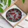 Tiffany Glass Cardinal Birds Red Roses Home Decor Gift for Wildlife Lovers Stained Glass Suncatcher - 3