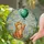 Tabby Kitten Emerald Balloon Daisies - Cat Lover Window Decor Stained Glass Suncatcher - 2