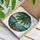 Stained Glass Palm Tree Lush Foliage Tropical Ocean Mosaic - Home Decor Gift Stained Glass Suncatcher - 3